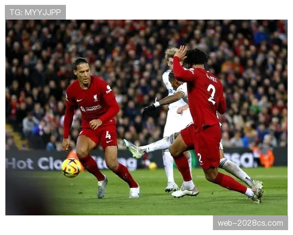 吕迪格与范迪克防守贡献的结构性差异及其体系驱动机制