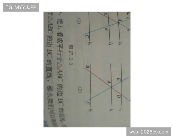 篮球三分线规则中得分有效性的具体判定依据与标准详解